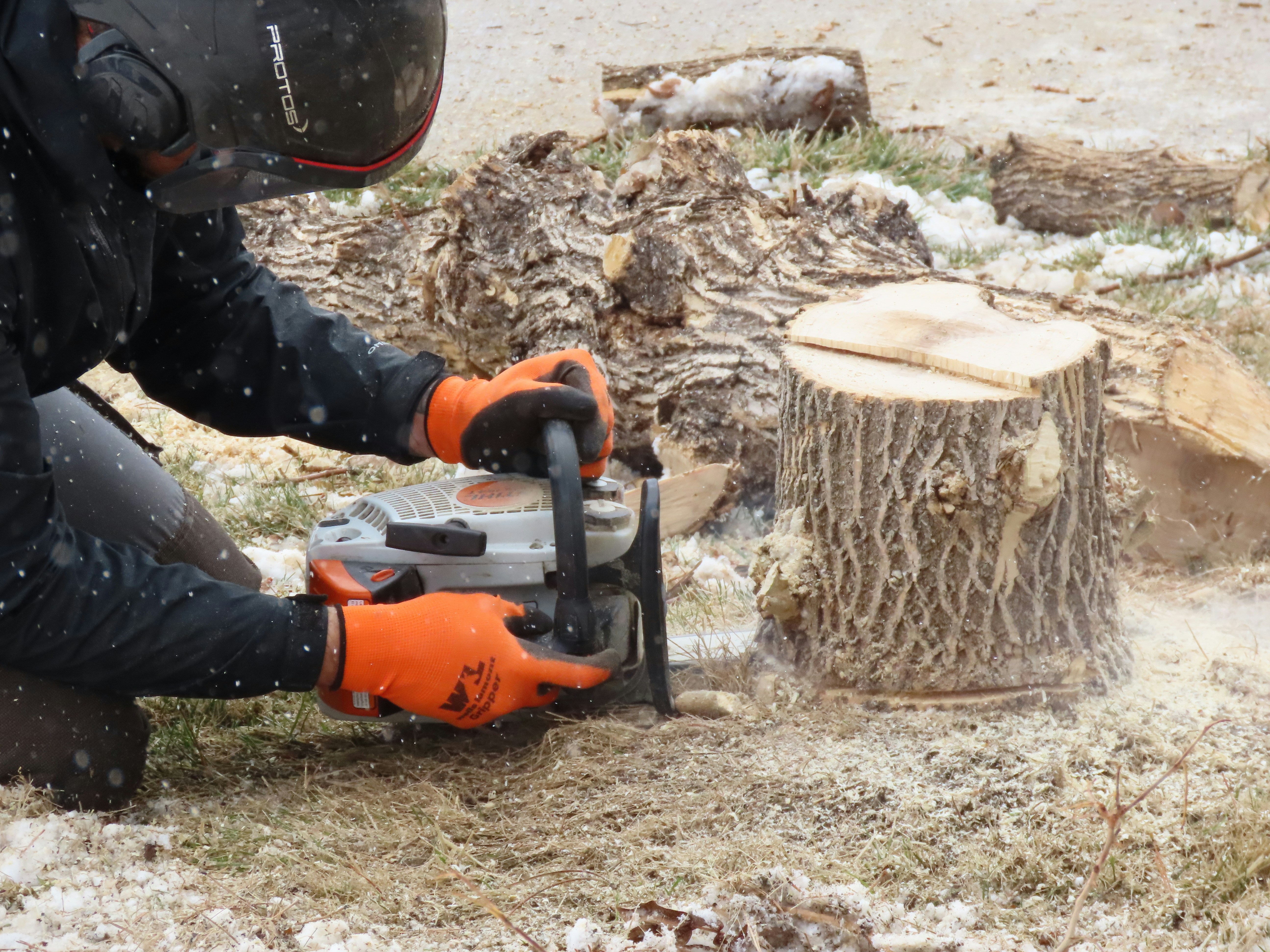 Gideon Tree Services